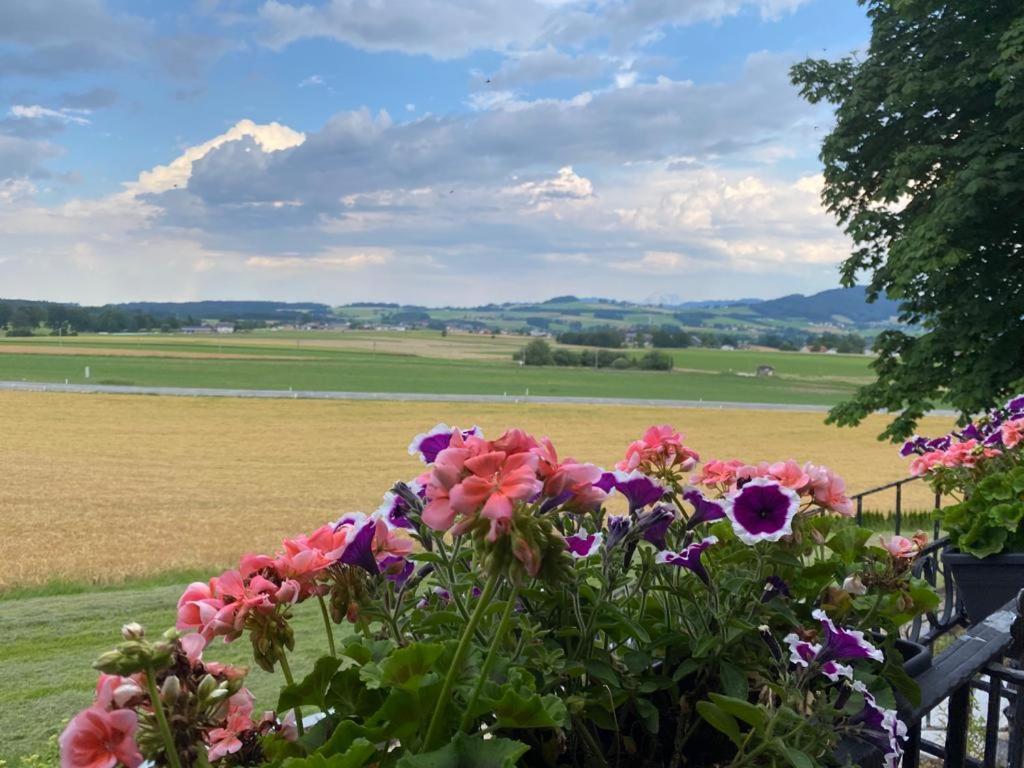 Hotel Blumenhof Sankt Georgen im Attergau Extérieur photo